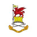 CREIGIAU LOGO